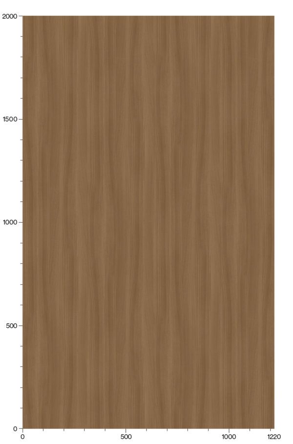 WG-1840 Grasslands Walnut scale